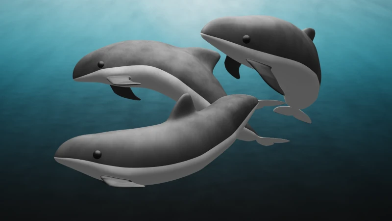 Harbour Porpoises